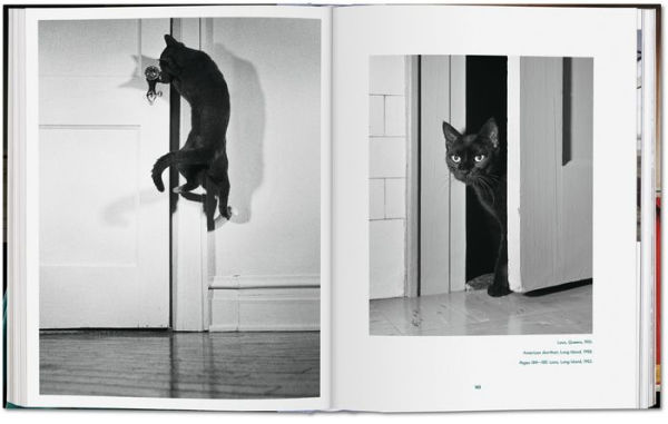 Walter Chandoha. Cats. Photographs 1942-2018