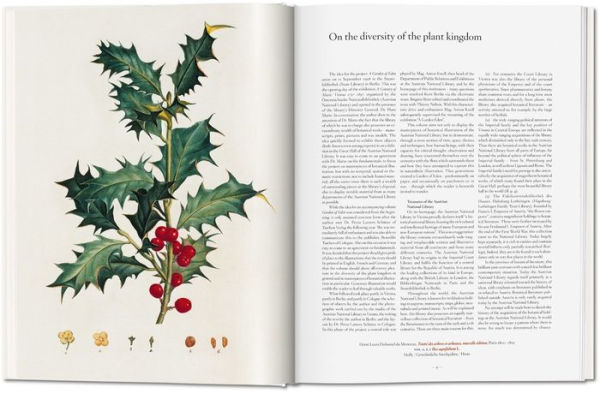 A Garden Eden. Masterpieces of Botanical Illustration