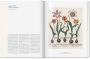 Alternative view 3 of A Garden Eden. Masterpieces of Botanical Illustration