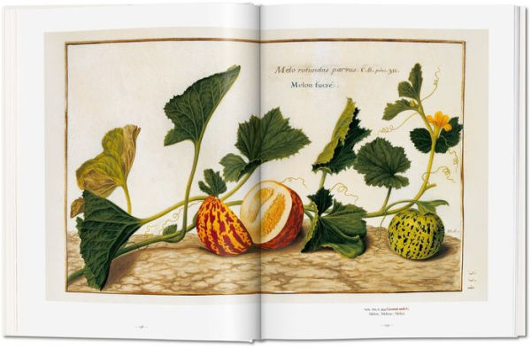 A Garden Eden. Masterpieces of Botanical Illustration