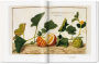 Alternative view 5 of A Garden Eden. Masterpieces of Botanical Illustration