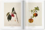 Alternative view 6 of A Garden Eden. Masterpieces of Botanical Illustration