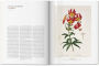 Alternative view 7 of A Garden Eden. Masterpieces of Botanical Illustration