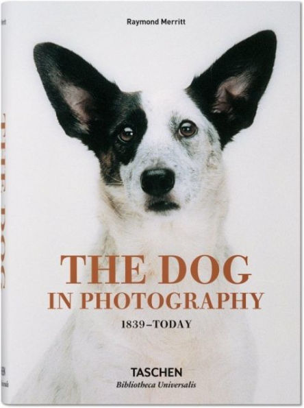 The Dog in Photography