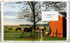 Alternative view 4 of Great Escapes Latin America. The Hotel Book
