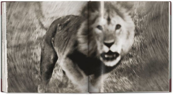 Peter Beard. The End of the Game