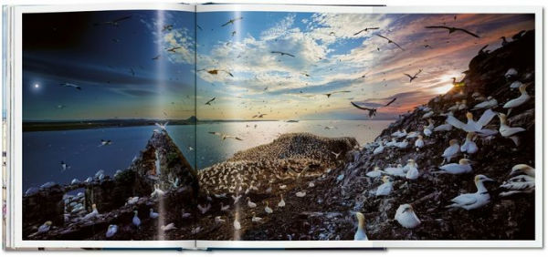 Stephen Wilkes. Day to Night