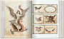Alternative view 3 of TATTOO. 1730s-1970s. Henk Schiffmacher's Private Collection. 40th Ed.