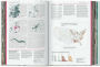 Alternative view 4 of Understanding the World. The Atlas of Infographics