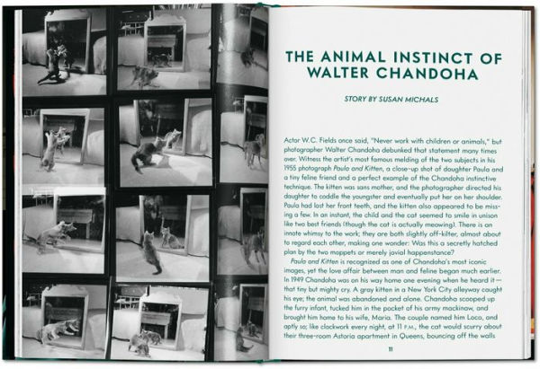 Walter Chandoha. Cats. Photographs 1942-2018