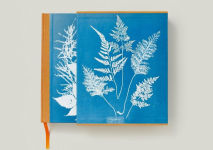 Alternative view 4 of Anna Atkins. Cyanotypes