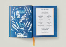 Alternative view 5 of Anna Atkins. Cyanotypes