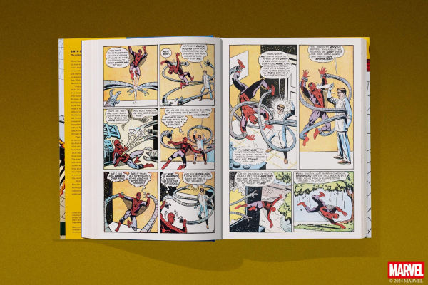 Marvel Comics Library. Spider-Man. 1962-1964