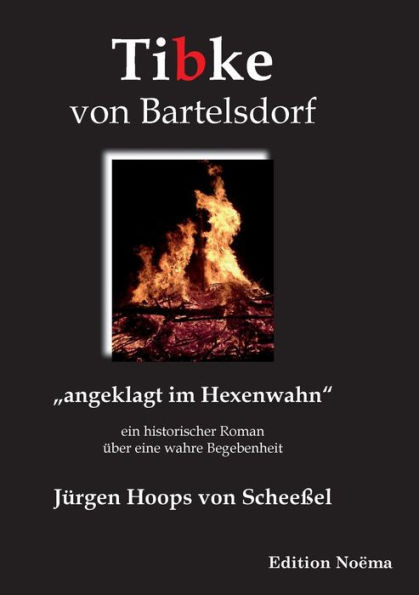 Tibke von Bartelsdorf. "angeklagt im Hexenwahn". Ein historischer Roman über eine wahre Begebenheit