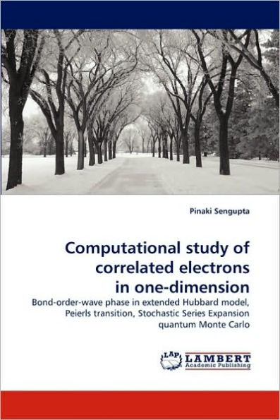 Computational study of correlated electrons in one-dimension