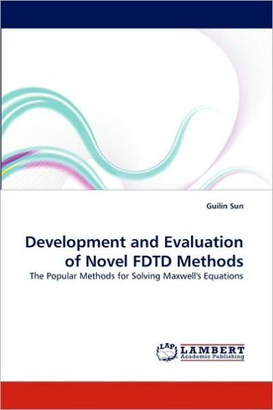 Development and Evaluation of Novel FDTD Methods