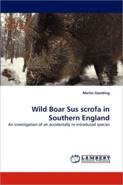 Wild Boar Sus scrofa in Southern England