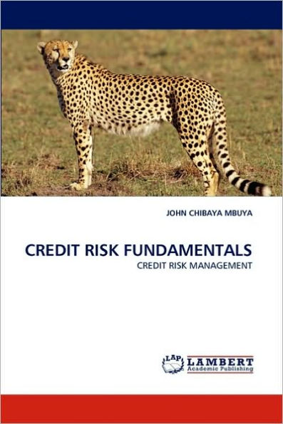 Credit Risk Fundamentals