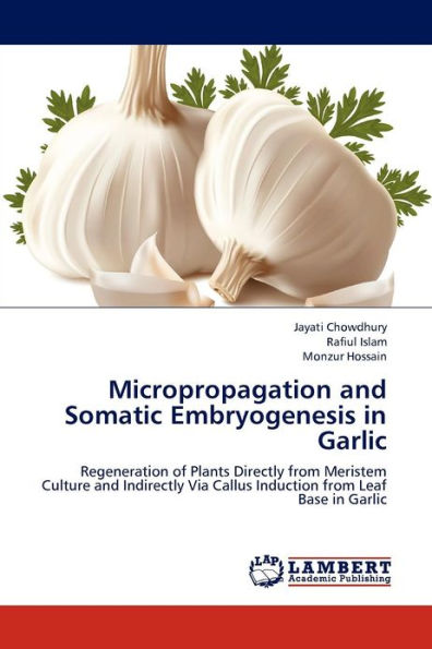 Micropropagation and Somatic Embryogenesis in Garlic