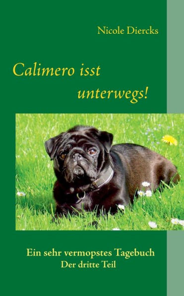 Calimero isst unterwegs!: Ein sehr vermopstes Tagebuch