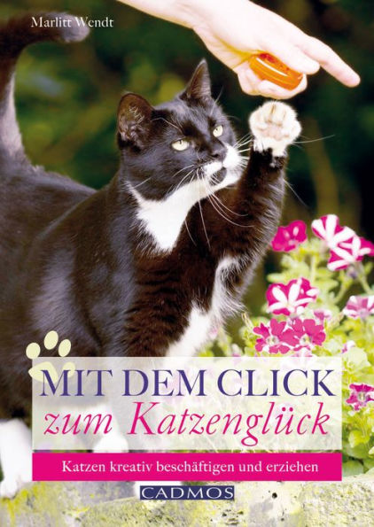 Mit dem Click zum Katzenglück: Katzen kreativ beschäftigen und erziehen