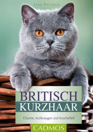 Title: Britisch Kurzhaar: Charme, Kulleraugen und Kuschelfell, Author: Jana Weichelt
