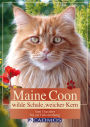 Maine Coon - Wilde Schale weicher Kern: Vom Charakter bis zur Farbvererbung