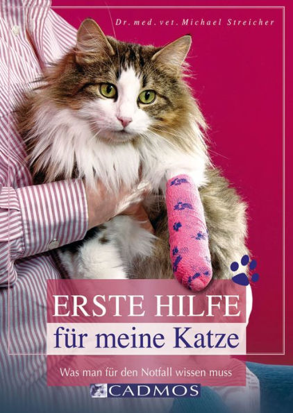 Erste Hilfe für meine Katze: Was man für den Notfall wissen muss