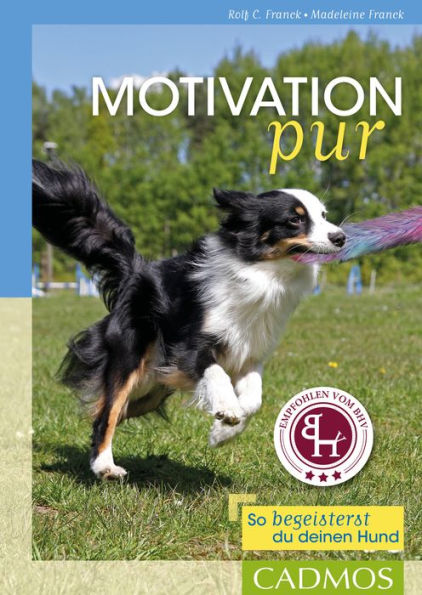 Motivation pur: So begeisterst du deinen Hund