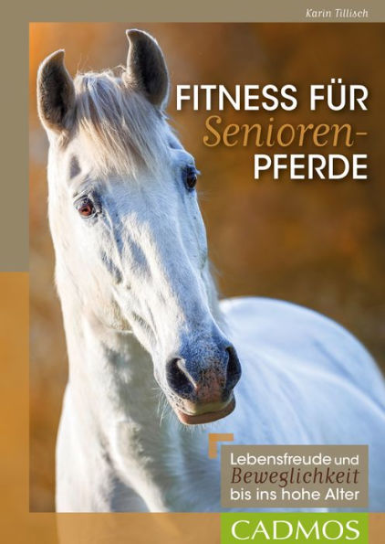 Fitness für Seniorenpferde: Lebensfreude und Beweglichkeit bis ins hohe Alter