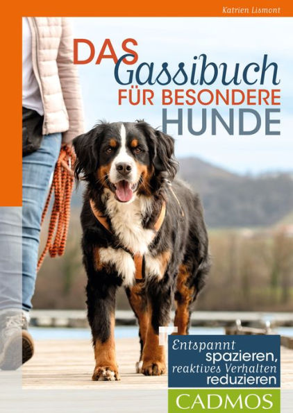 Das Gassi-Buch für besondere Hunde: Entspannt spazieren, reaktives Verhalten reduzieren