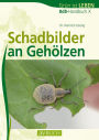 Schadbilder an Gehölzen: BdB-Handbuch X