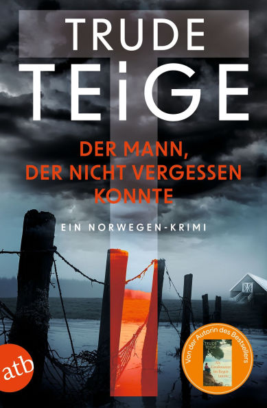 Der Mann, der nicht vergessen konnte: Ein Norwegen-Krimi