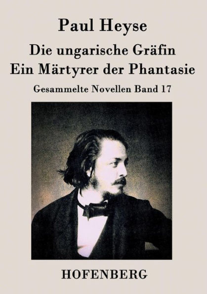 Die ungarische Grï¿½fin / Ein Mï¿½rtyrer der Phantasie: Gesammelte Novellen Band 17