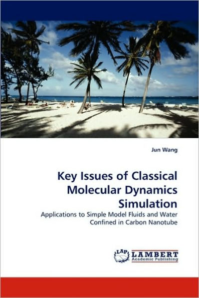 Key Issues of Classical Molecular Dynamics Simulation