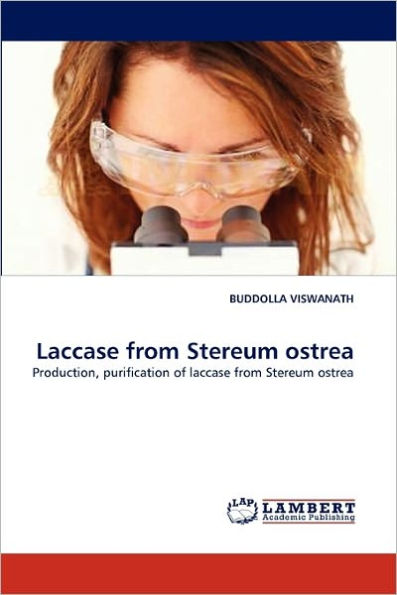 Laccase from Stereum Ostrea