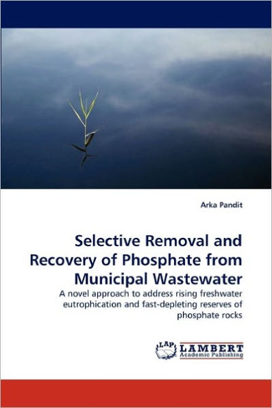 Selective Removal and Recovery of Phosphate from Municipal Wastewater