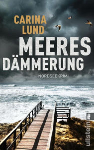 Title: Meeresdämmerung: Nordseekrimi Auftakt für die Soko Mondschein: Düstere Küstenspannung garantiert!, Author: Carina Lund