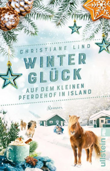 Winterglück auf dem kleinen Pferdehof in Island: Roman Romantic Escape nach Island: Unter den Polarlichtern werden Winterträume wahr