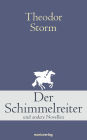 Der Schimmelreiter: Und andere Novellen