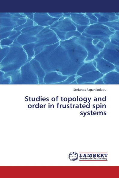 Studies of Topology and Order in Frustrated Spin Systems