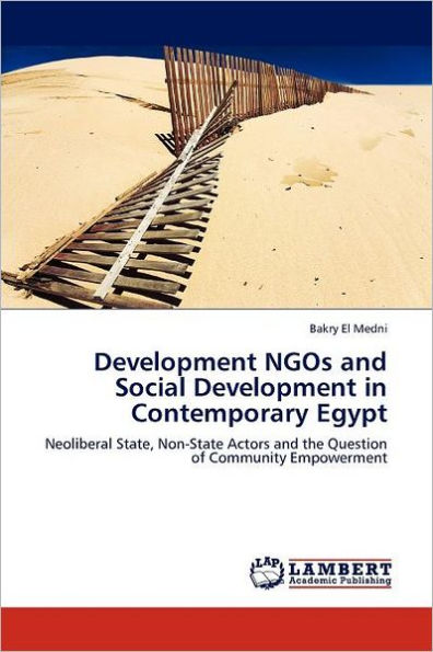 Development NGOs and Social Development in Contemporary Egypt