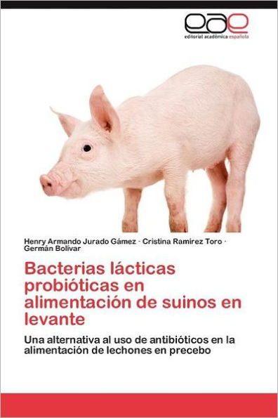 Bacterias lácticas probióticas en alimentación de suinos en levante