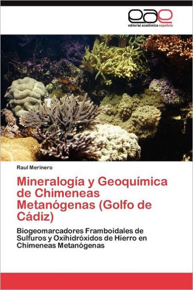 Mineralogía y Geoquímica de Chimeneas Metanógenas (Golfo de Cádiz)