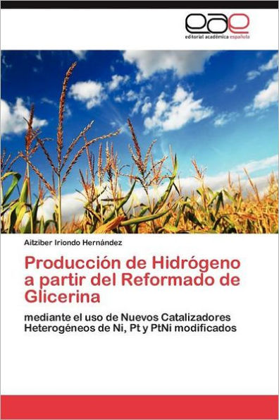 Producción de Hidrógeno a partir del Reformado de Glicerina