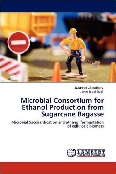 Microbial Consortium for Ethanol Production from Sugarcane Bagasse