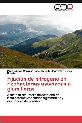 Fijación de nitrógeno en rizobacterias asociadas a glumifloras