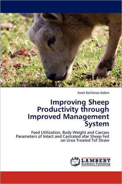 Improving Sheep Productivity Through Improved Management System