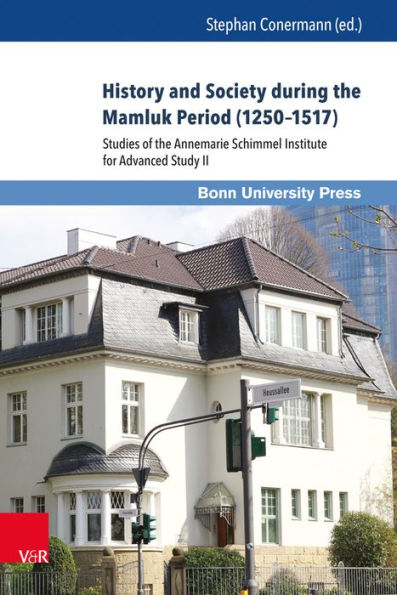 History and Society during the Mamluk Period (1250-1517): Studies of the Annemarie Schimmel Institute for Advanced Study II