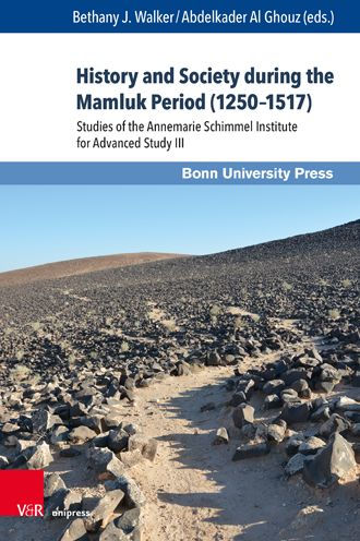 History and Society during the Mamluk Period (1250-1517): Studies of the Annemarie Schimmel Institute for Advanced Study III